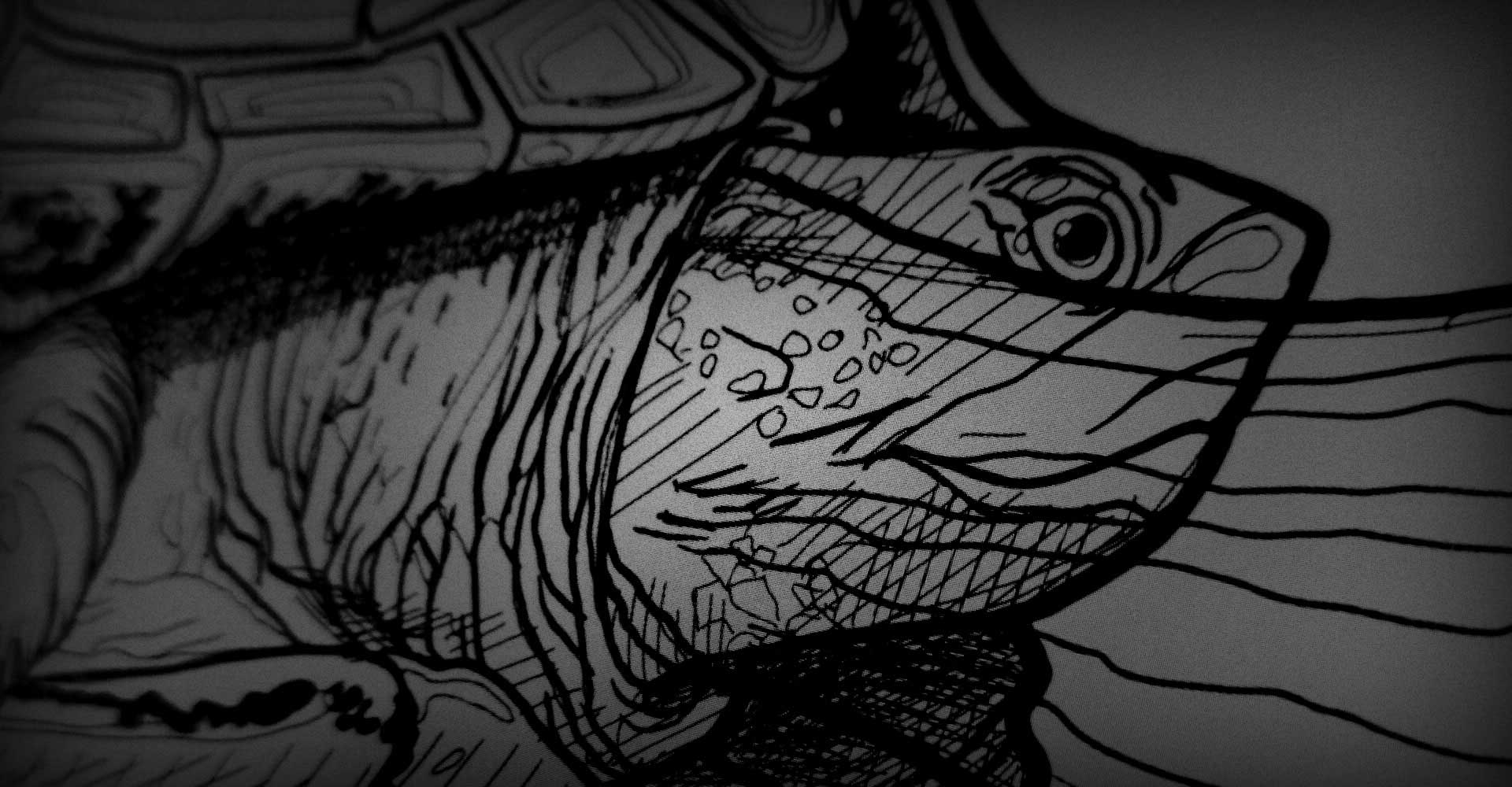 dessin sketch dessin sketch